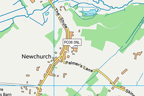 Newchurch Primary School map (PO36 0NL) - OS VectorMap District (Ordnance Survey)