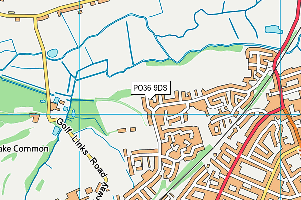 PO36 9DS map - OS VectorMap District (Ordnance Survey)