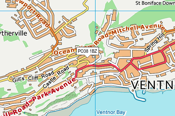 PO38 1BZ map - OS VectorMap District (Ordnance Survey)
