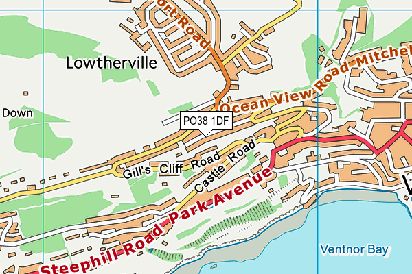 PO38 1DF map - OS VectorMap District (Ordnance Survey)