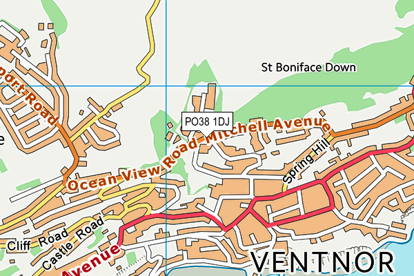 PO38 1DJ map - OS VectorMap District (Ordnance Survey)