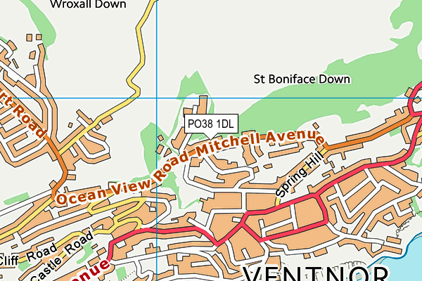 PO38 1DL map - OS VectorMap District (Ordnance Survey)