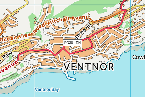 PO38 1DN map - OS VectorMap District (Ordnance Survey)