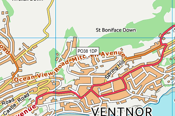 PO38 1DP map - OS VectorMap District (Ordnance Survey)