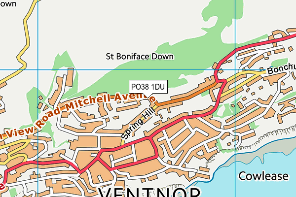 PO38 1DU map - OS VectorMap District (Ordnance Survey)