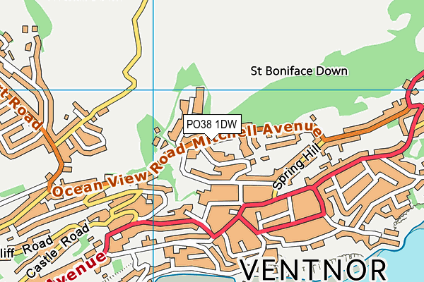 PO38 1DW map - OS VectorMap District (Ordnance Survey)