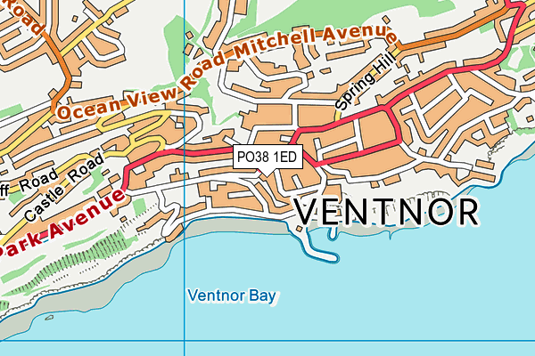 PO38 1ED map - OS VectorMap District (Ordnance Survey)