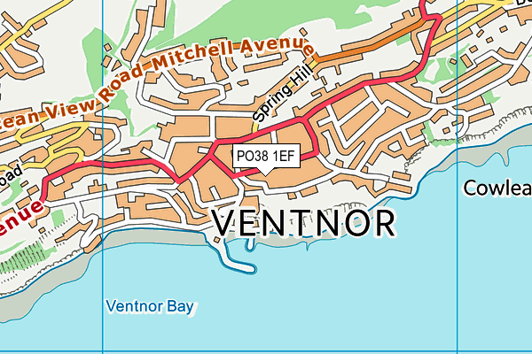 PO38 1EF map - OS VectorMap District (Ordnance Survey)