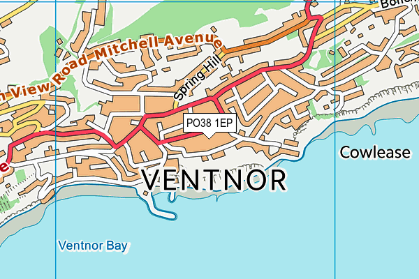 PO38 1EP map - OS VectorMap District (Ordnance Survey)