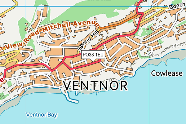 PO38 1EU map - OS VectorMap District (Ordnance Survey)