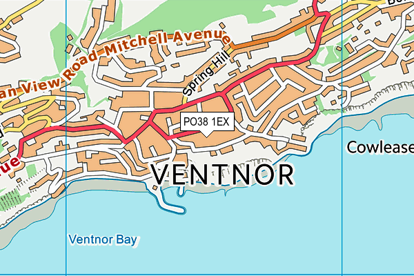 PO38 1EX map - OS VectorMap District (Ordnance Survey)