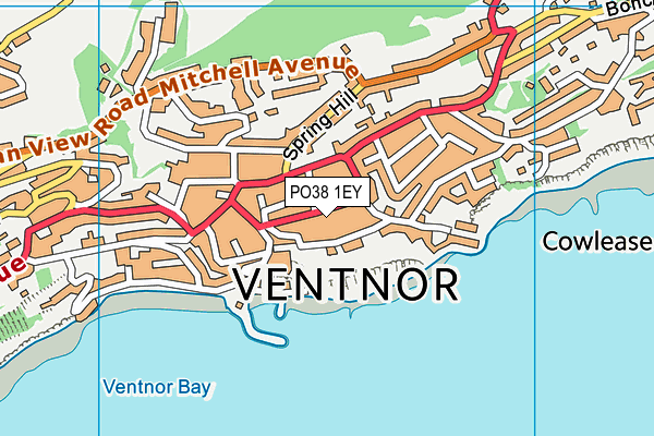 PO38 1EY map - OS VectorMap District (Ordnance Survey)