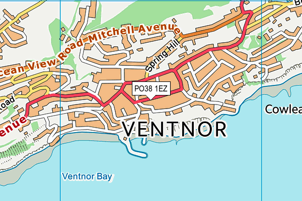 PO38 1EZ map - OS VectorMap District (Ordnance Survey)