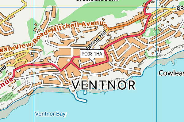 PO38 1HA map - OS VectorMap District (Ordnance Survey)