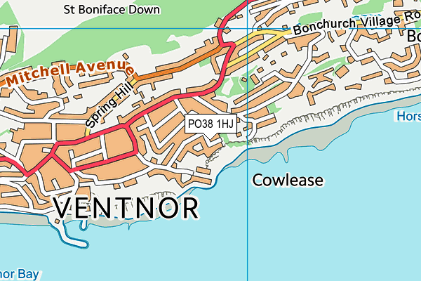 PO38 1HJ map - OS VectorMap District (Ordnance Survey)