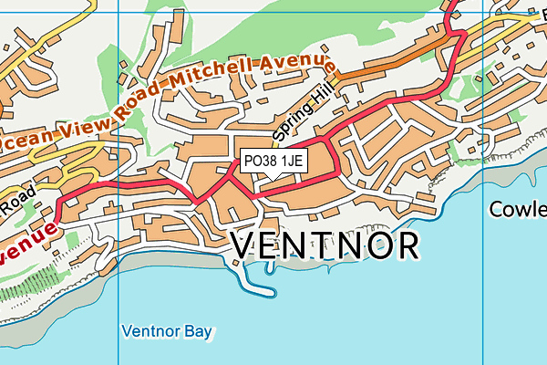 PO38 1JE map - OS VectorMap District (Ordnance Survey)