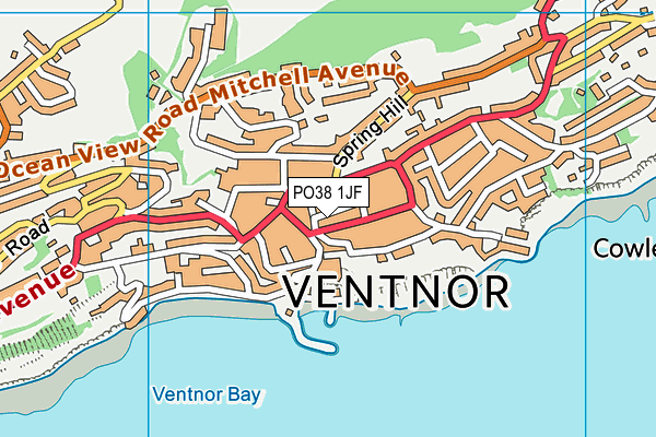 PO38 1JF map - OS VectorMap District (Ordnance Survey)