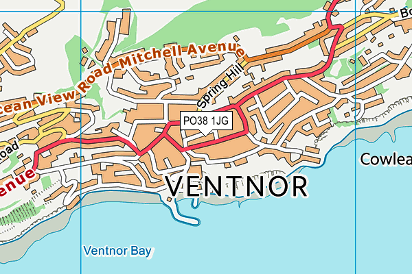 PO38 1JG map - OS VectorMap District (Ordnance Survey)