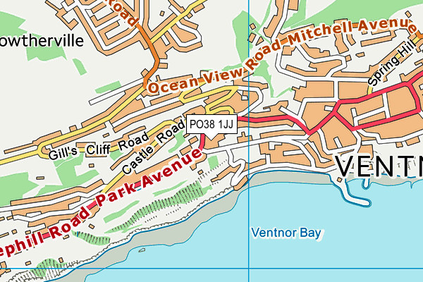 PO38 1JJ map - OS VectorMap District (Ordnance Survey)