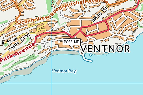 PO38 1JP map - OS VectorMap District (Ordnance Survey)