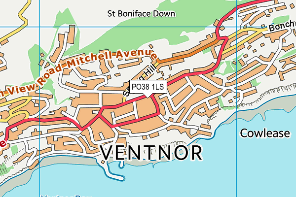 PO38 1LS map - OS VectorMap District (Ordnance Survey)