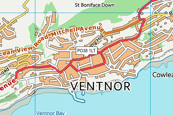 PO38 1LT map - OS VectorMap District (Ordnance Survey)