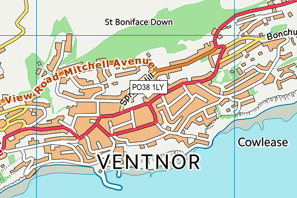 PO38 1LY map - OS VectorMap District (Ordnance Survey)