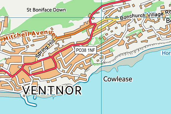 PO38 1NF map - OS VectorMap District (Ordnance Survey)