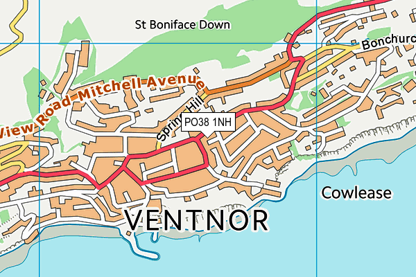 PO38 1NH map - OS VectorMap District (Ordnance Survey)