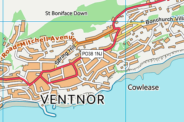 PO38 1NJ map - OS VectorMap District (Ordnance Survey)