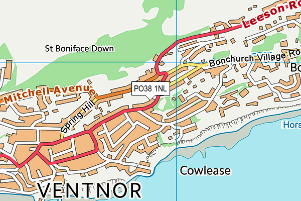 PO38 1NL map - OS VectorMap District (Ordnance Survey)