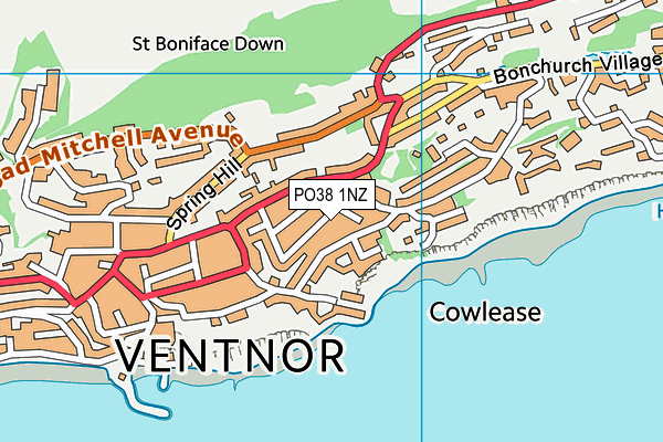 PO38 1NZ map - OS VectorMap District (Ordnance Survey)