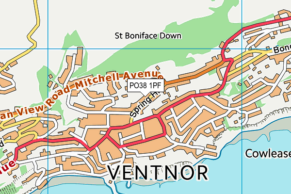 PO38 1PF map - OS VectorMap District (Ordnance Survey)