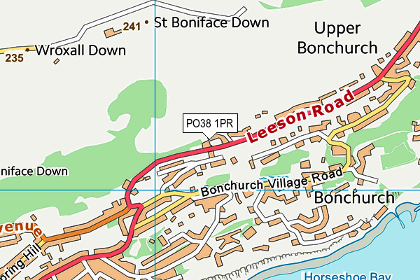 PO38 1PR map - OS VectorMap District (Ordnance Survey)