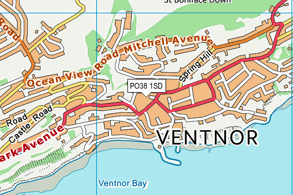 PO38 1SD map - OS VectorMap District (Ordnance Survey)