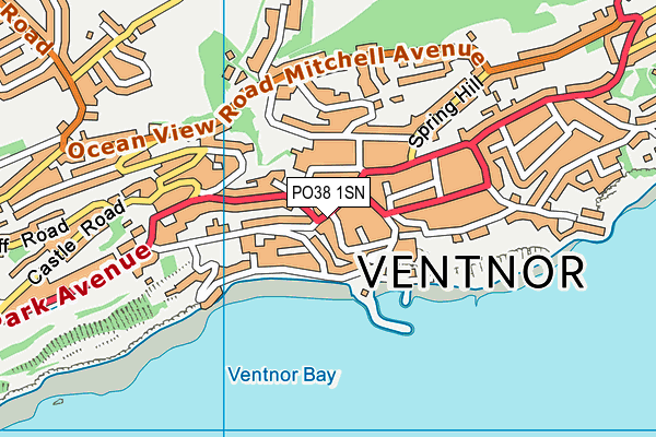 PO38 1SN map - OS VectorMap District (Ordnance Survey)