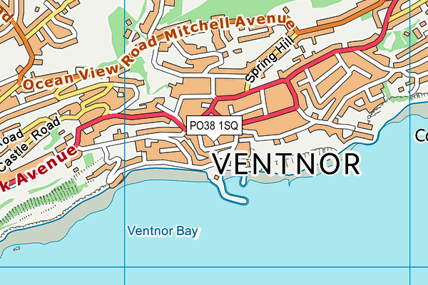 PO38 1SQ map - OS VectorMap District (Ordnance Survey)