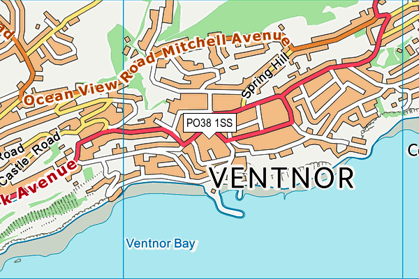 PO38 1SS map - OS VectorMap District (Ordnance Survey)