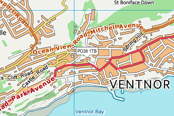 PO38 1TB map - OS VectorMap District (Ordnance Survey)