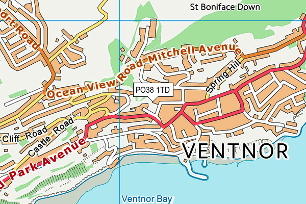 PO38 1TD map - OS VectorMap District (Ordnance Survey)