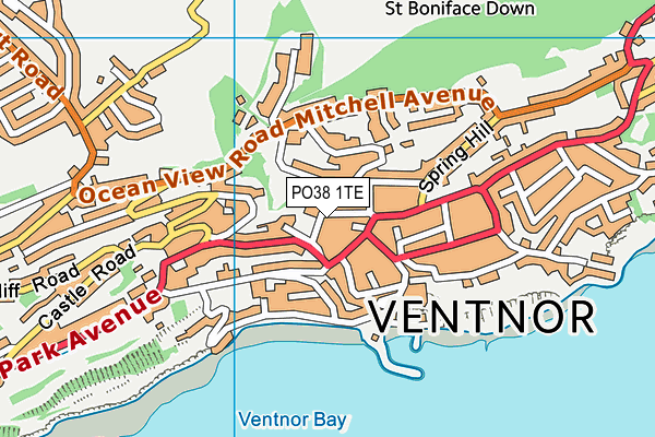 PO38 1TE map - OS VectorMap District (Ordnance Survey)
