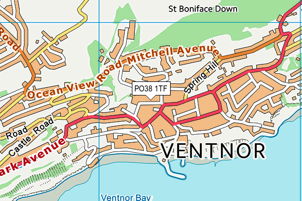 PO38 1TF map - OS VectorMap District (Ordnance Survey)