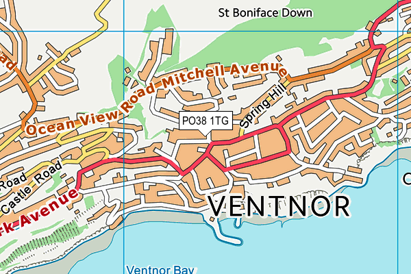 PO38 1TG map - OS VectorMap District (Ordnance Survey)