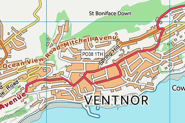 PO38 1TH map - OS VectorMap District (Ordnance Survey)