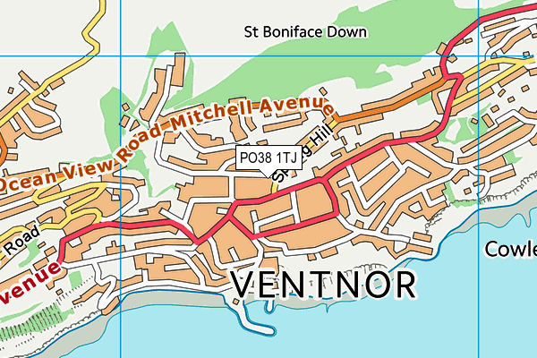 PO38 1TJ map - OS VectorMap District (Ordnance Survey)