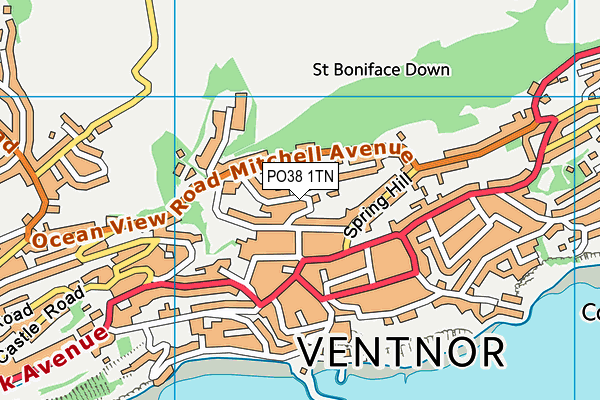 PO38 1TN map - OS VectorMap District (Ordnance Survey)