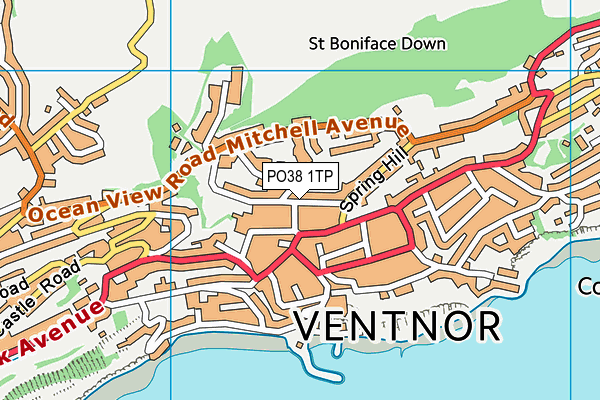 PO38 1TP map - OS VectorMap District (Ordnance Survey)
