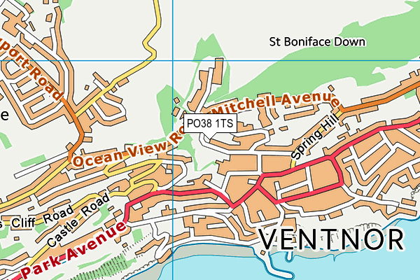 PO38 1TS map - OS VectorMap District (Ordnance Survey)