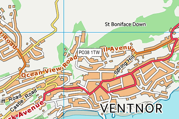 PO38 1TW map - OS VectorMap District (Ordnance Survey)