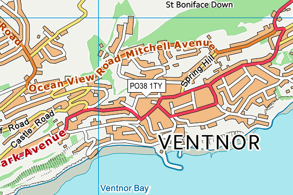 PO38 1TY map - OS VectorMap District (Ordnance Survey)